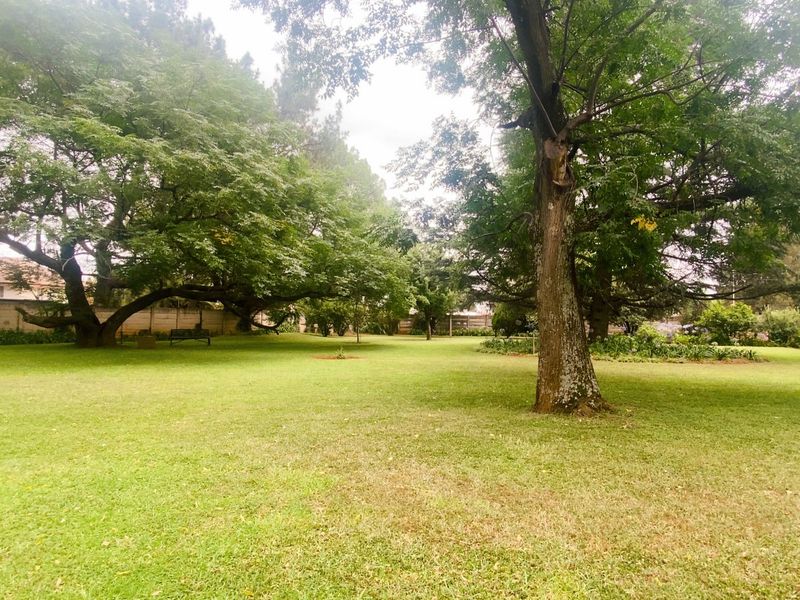 Ground Floor lock up and go in Three Rivers Proper - Photo 3