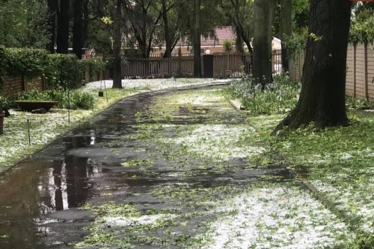 Two Homes with endless possibilities in Three Rivers Proper - Photo 4