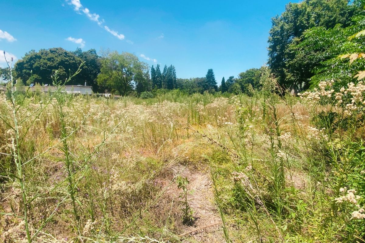 Vacant land in the heart of Three Rivers Proper - Photo 4