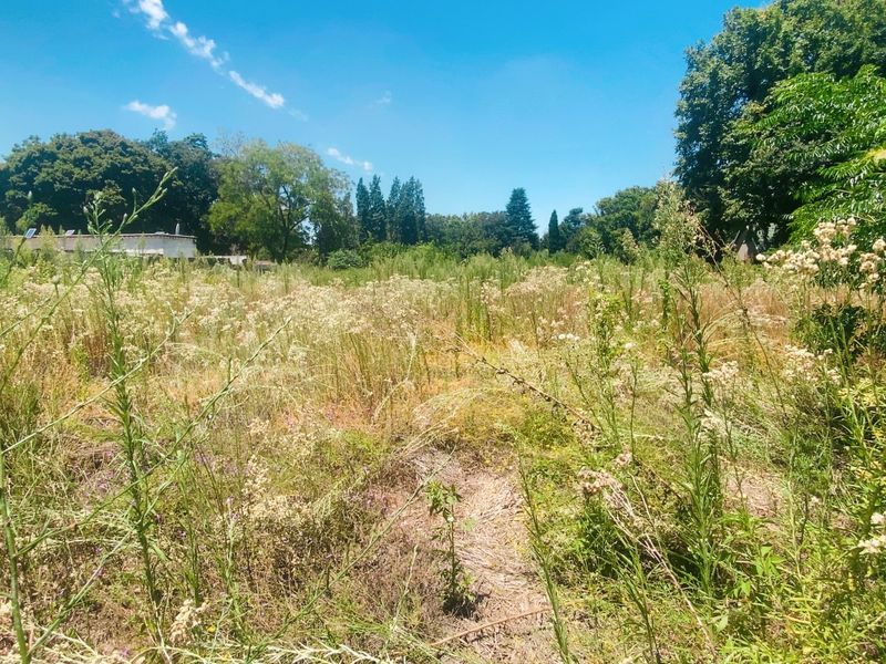 Vacant land in the heart of Three Rivers Proper - Photo 4