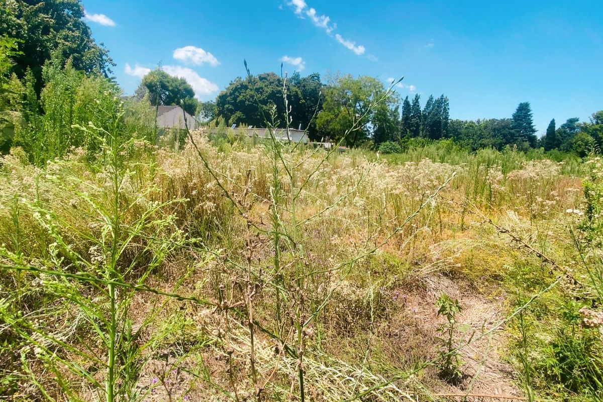 Vacant land in the heart of Three Rivers Proper - Photo 5