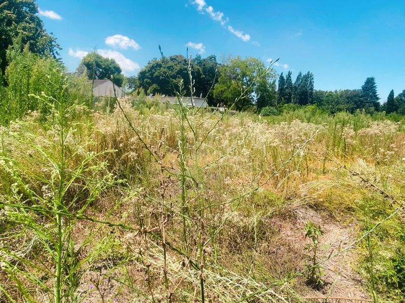 Vacant land in the heart of Three Rivers Proper - Photo 5