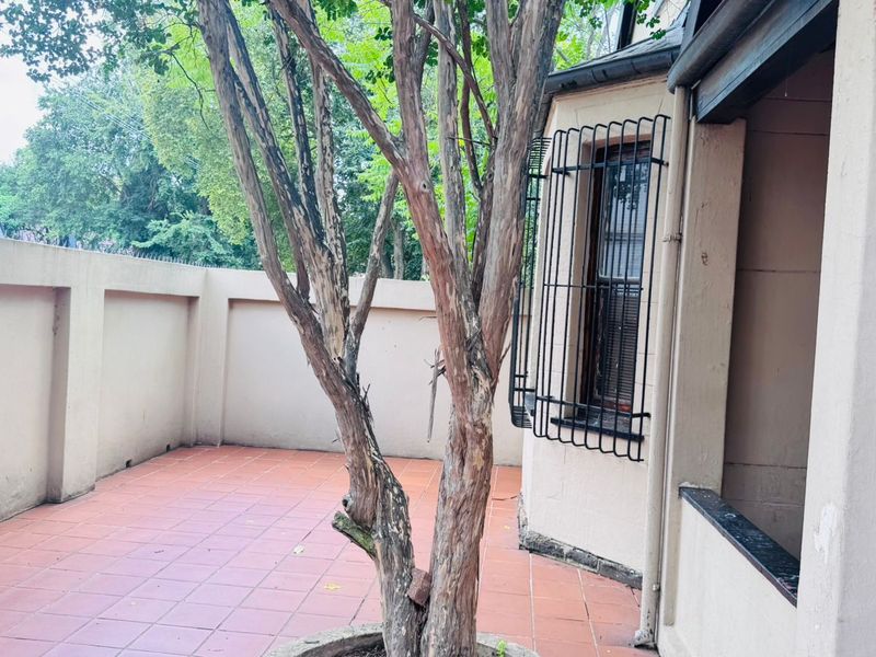 6 Bed 3 Bath   Commercial Property for Sale – Verdoorn Street, Sunnyside, Pretoria - Photo 3