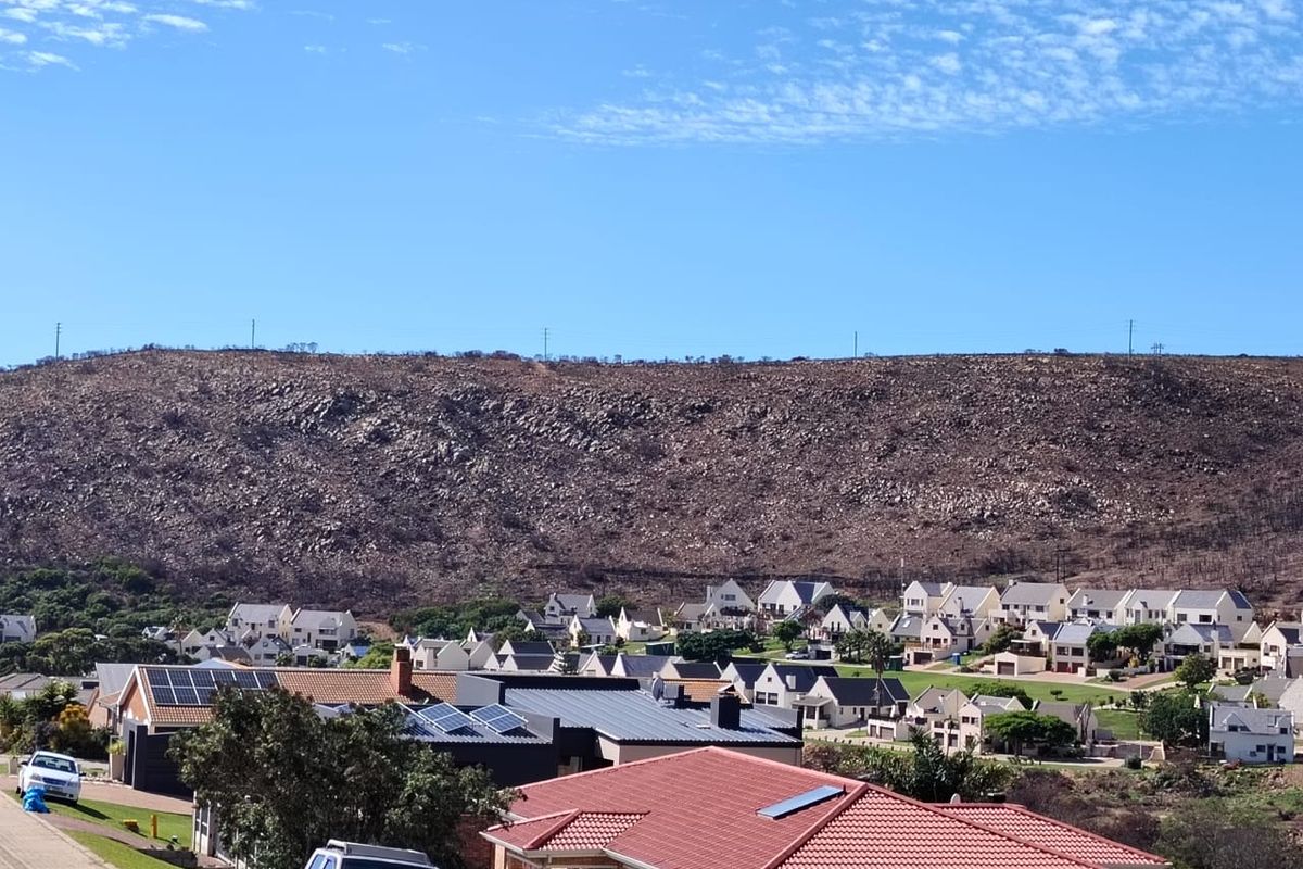 WATCH THIS !  3-BEDROOM DUET WITH FLAT IN ISLAND VIEW - Photo 2