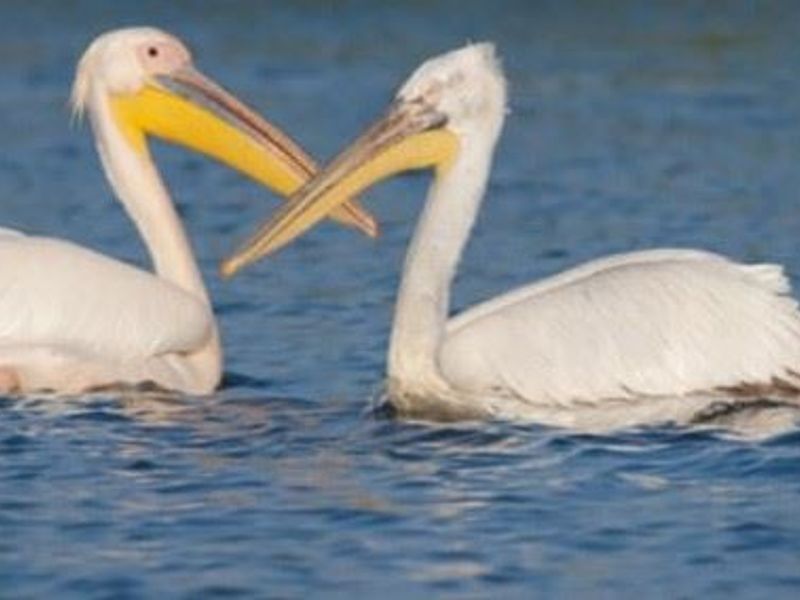 Vacant Land In Hamburg, Eastern Cape, available Immediately - Photo 10