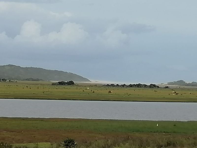 Vacant Land In Hamburg, Eastern Cape, available Immediately - Photo 6