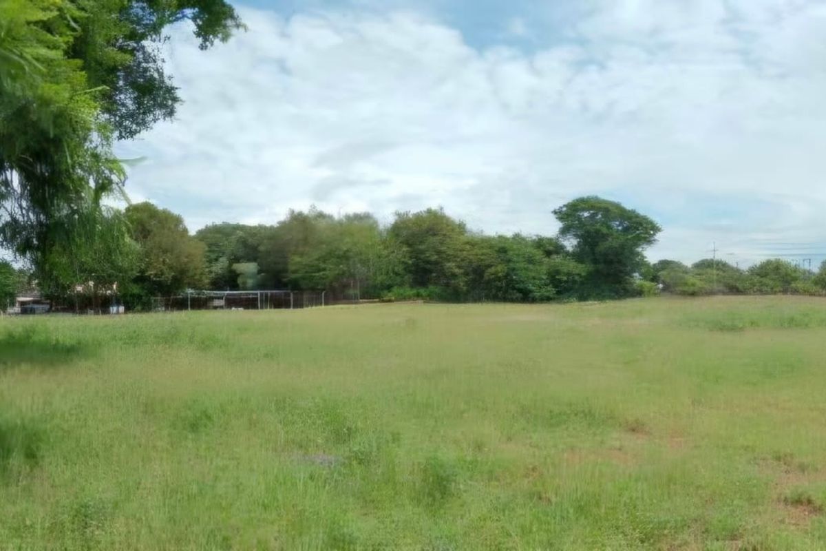A wide, open residential vacant land plot featuring established trees and perimeter fencing, offering a blank canvas for future development.