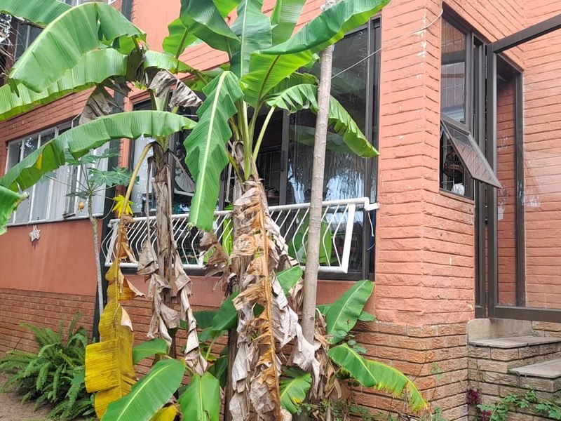 2 Bedroom Apartment - Photo 7