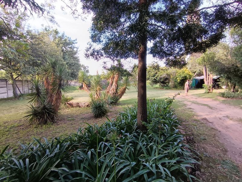 Income Generating Smallholding with 7 Garden Cottages – A Rare Investment Opportunity - Photo 10