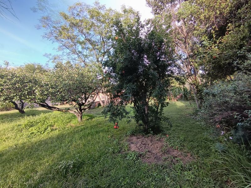 Income Generating Smallholding with 7 Garden Cottages – A Rare Investment Opportunity - Photo 6