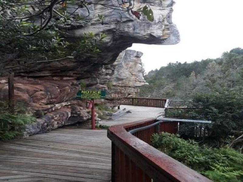 TSITSIKAMMA FALLS – ICONIC WATERFALL TOURISM DESTINATION | GOING CONCERN | PRIME N2 LOCATION - Photo 10