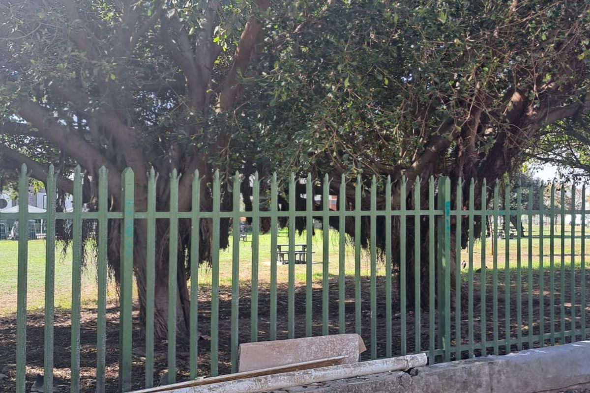 2 Bedroom cottage for Sale in Salt river  - Photo 2