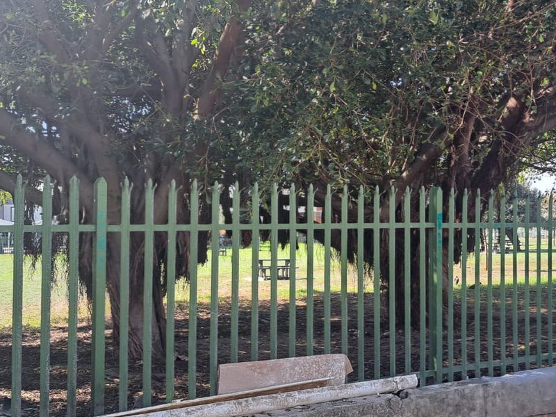 2 Bedroom cottage for Sale in Salt river  - Photo 2