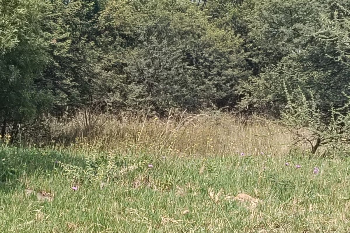 Vacant Land For Sale in Hartebeespoort - Photo 5