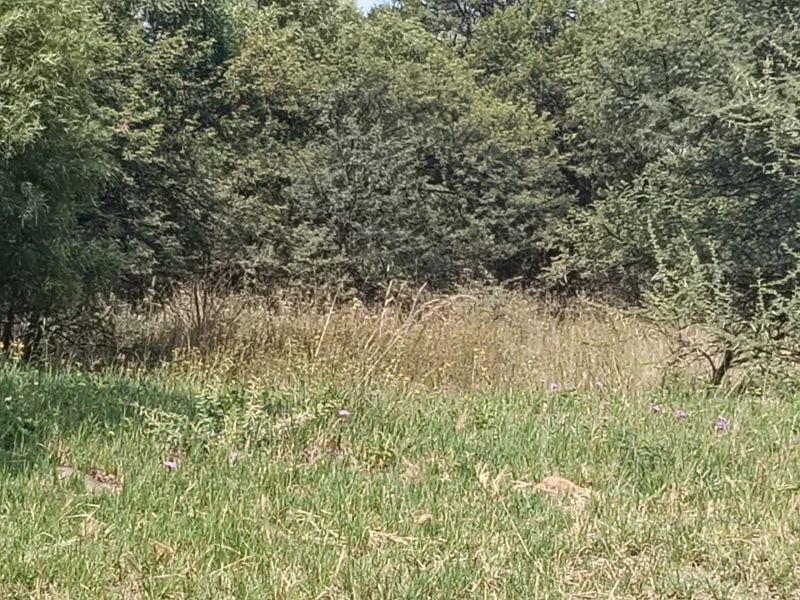 Vacant Land For Sale in Hartebeespoort - Photo 5