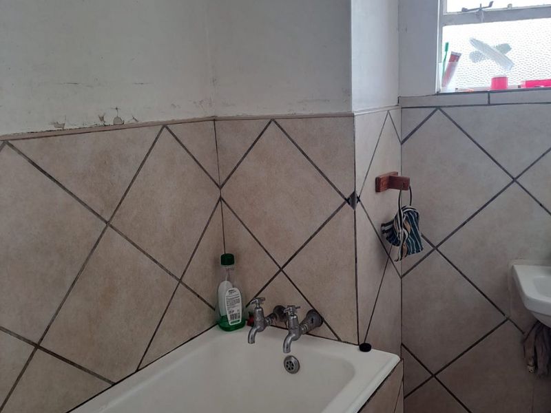 Stunning Camelia in Beckett St Arcadia - Photo 8