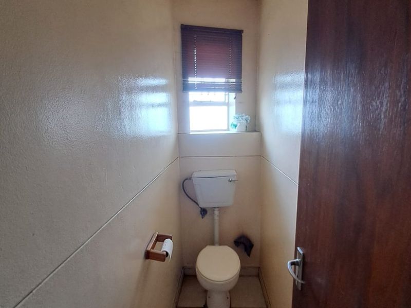 Stunning Camelia in Beckett St Arcadia - Photo 5