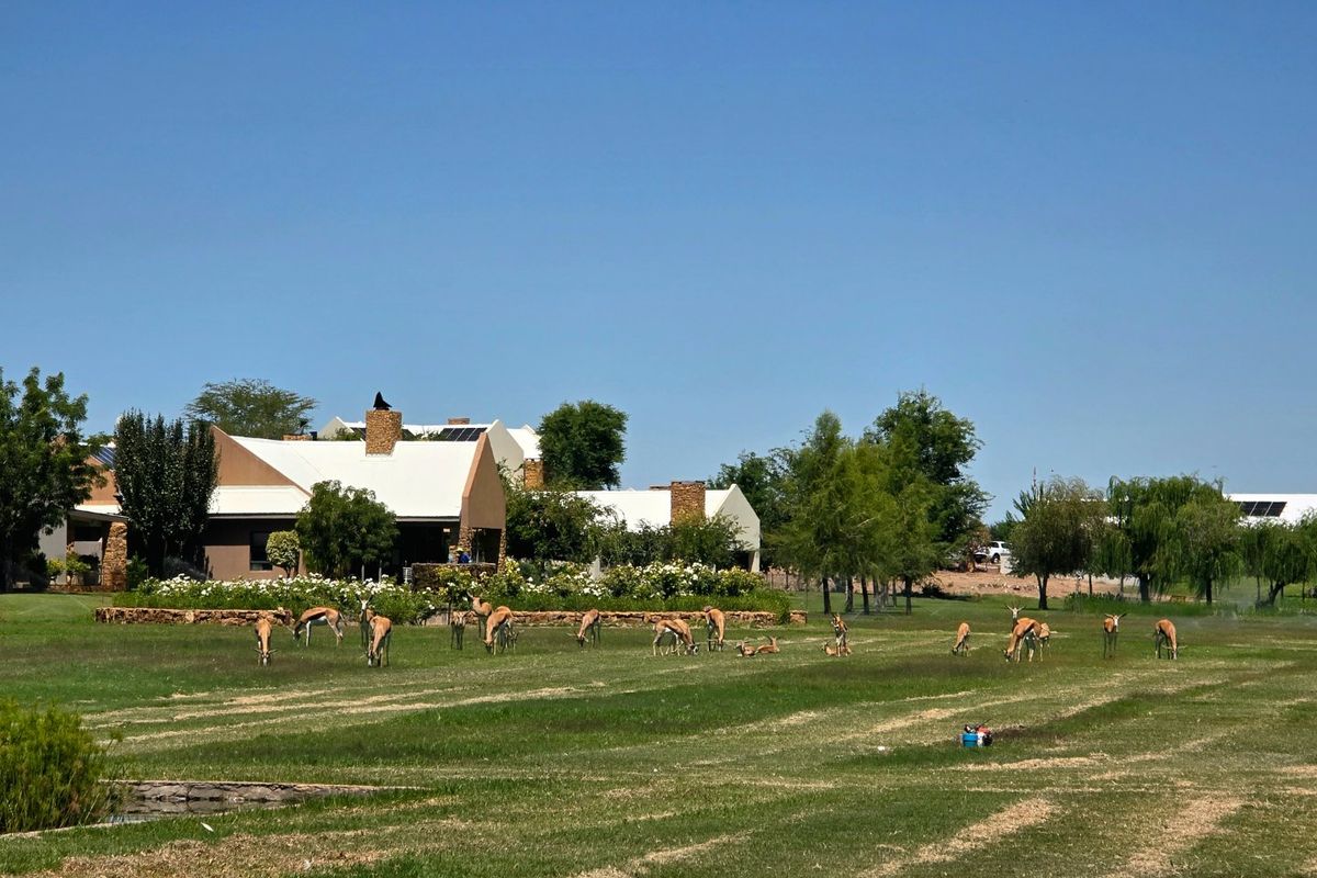 A view of the rear exterior of the residential property featuring a landscaped garden, stone retaining wall, and solar panels on the roof.