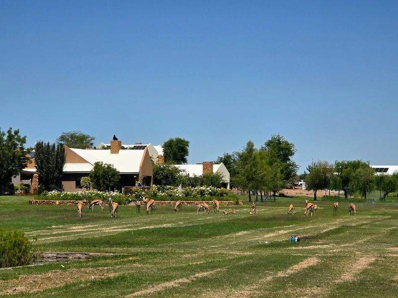 A view of the rear exterior of the residential property featuring a landscaped garden, stone retaining wall, and solar panels on the roof.