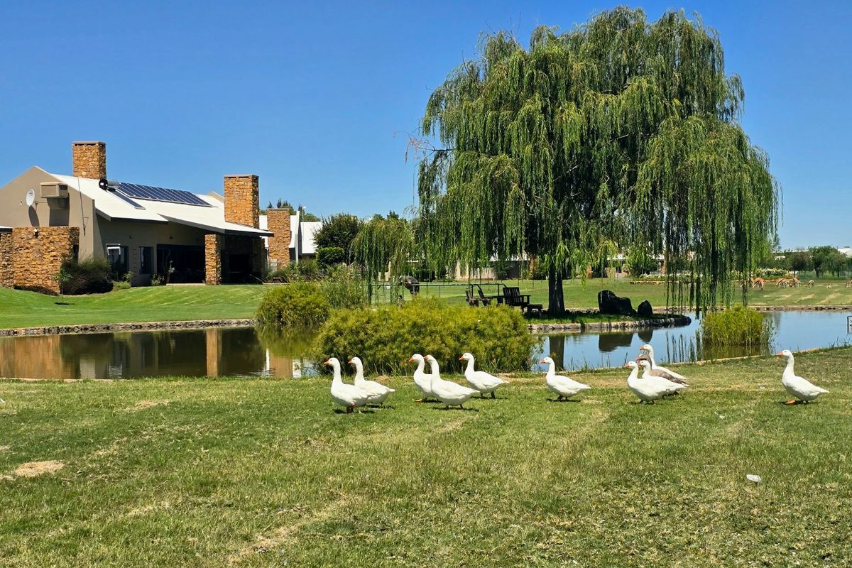 A scenic garden view featuring a tranquil pond, mature willow tree, and well-maintained lawn with a stone-clad residential building in the background.