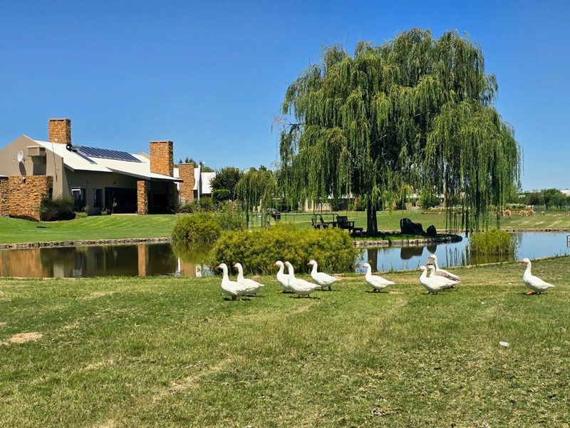 A scenic garden view featuring a tranquil pond, mature willow tree, and well-maintained lawn with a stone-clad residential building in the background.