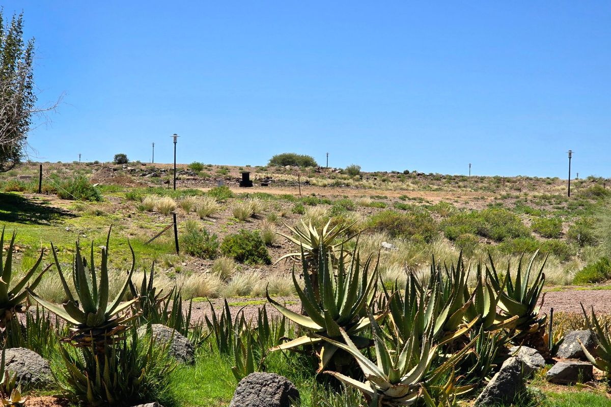 A view of the vacant residential land featuring natural vegetation, rocky terrain, and installed street lighting poles.