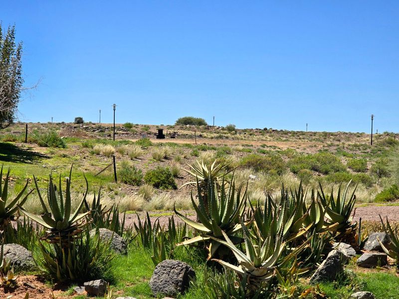 A view of the vacant residential land featuring natural vegetation, rocky terrain, and installed street lighting poles.