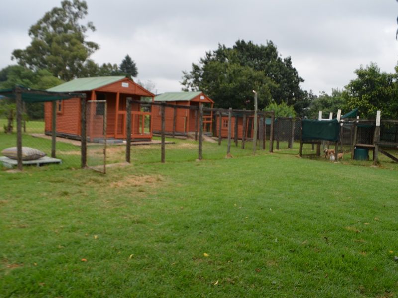 SMALL HOLDING FOR SALE IN KRUGERSDORP WEST. - Photo 2