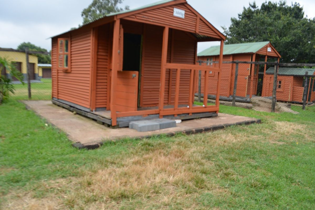 SMALL HOLDING FOR SALE IN KRUGERSDORP WEST. - Photo 5