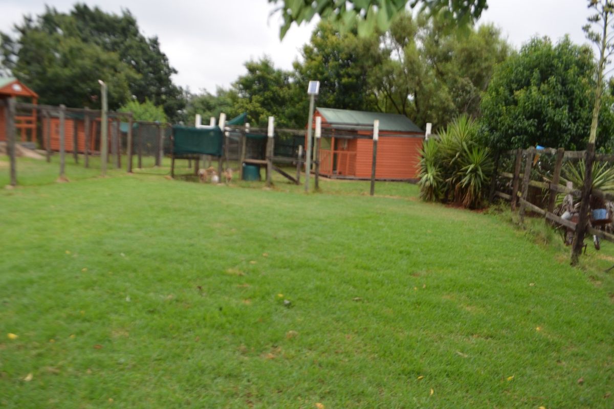 SMALL HOLDING FOR SALE IN KRUGERSDORP WEST. - Photo 3