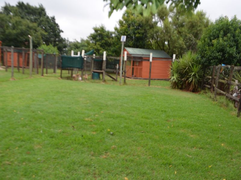 SMALL HOLDING FOR SALE IN KRUGERSDORP WEST. - Photo 3