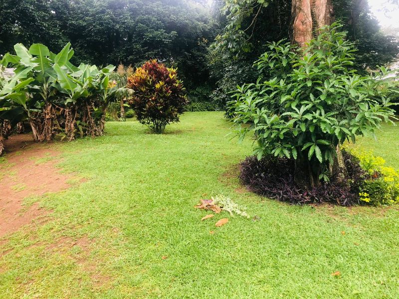 1 Bedroom, 1 Bathroom House To Let In Morningside, Durban - Photo 9