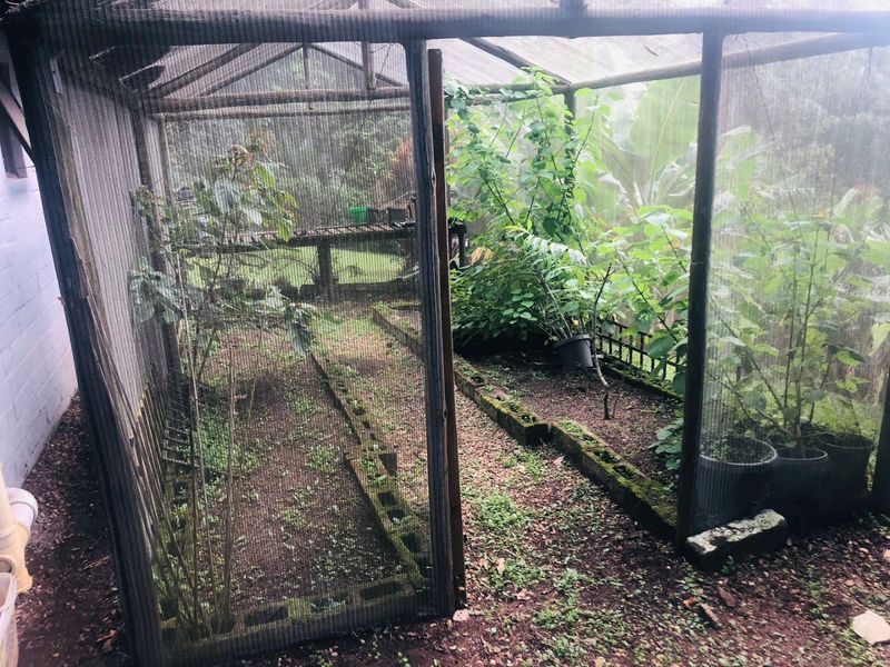 1 Bedroom,1 Bathroom Room to let in Kloof - Photo 6