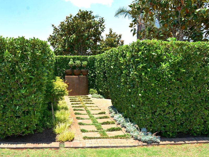A well-maintained garden featuring tall privacy hedging, a stone paver pathway, and neat brick edging.