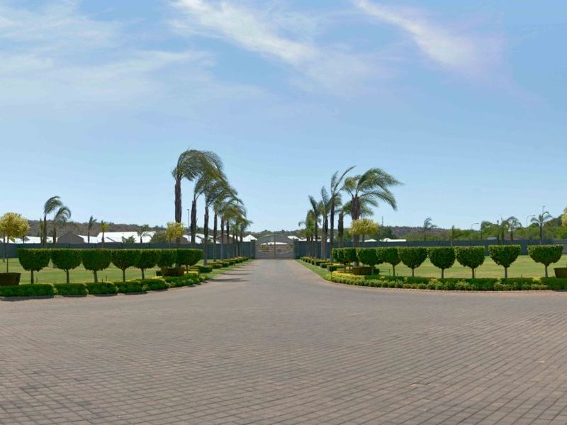 A wide-angle view of a grand, paved driveway leading to a gated entrance, flanked by manicured hedges and mature palm trees.