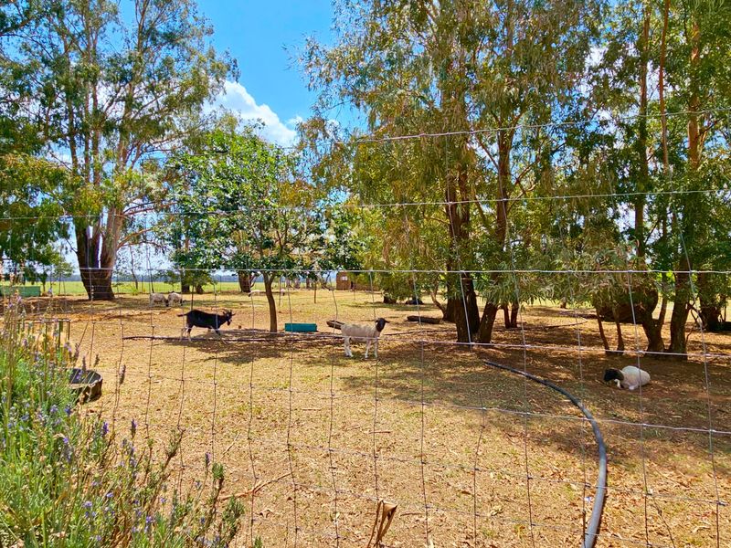 An immaculate 18 Ha farm in Welverdiend. - Photo 10