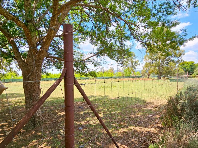 An immaculate 18 Ha farm in Welverdiend. - Photo 9