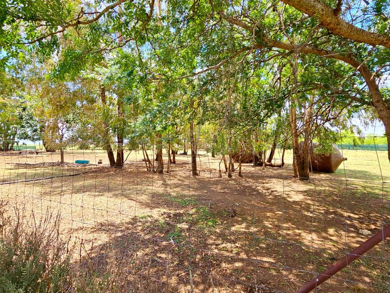 An immaculate 18 Ha farm in Welverdiend. - Photo 8