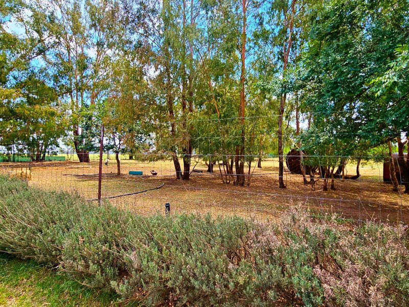 An immaculate 18 Ha farm in Welverdiend. - Photo 7