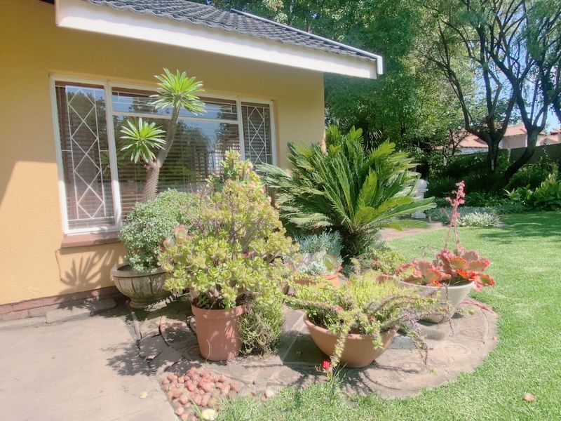 Where comfort meets living in Three Rivers Proper - Photo 7