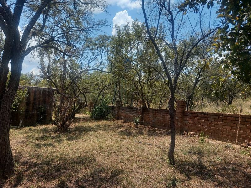 42 hectares sheep and cattle feedlot with equipment for sale in Dinokeng  - Photo 5