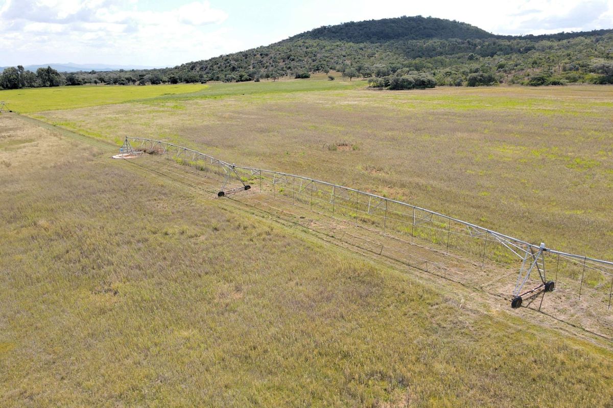 Irrigation farm with 2x Pivots and three houses - Photo 3