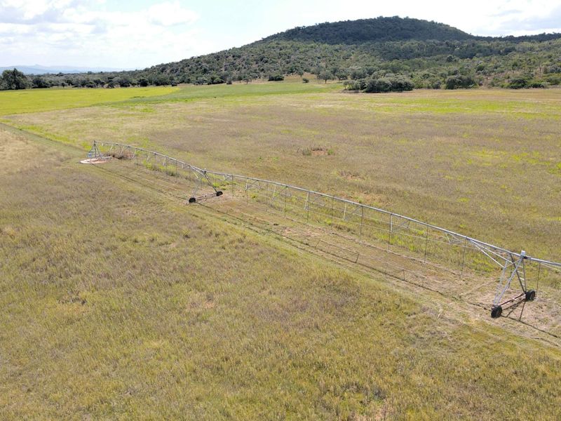 Irrigation farm with 2x Pivots and three houses - Photo 3