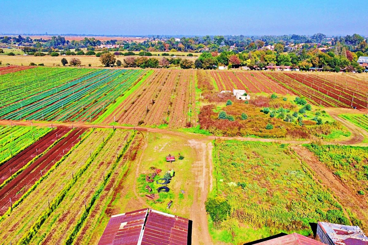 LARGE FARM FOR SALE IN MEYERTON - Photo 3