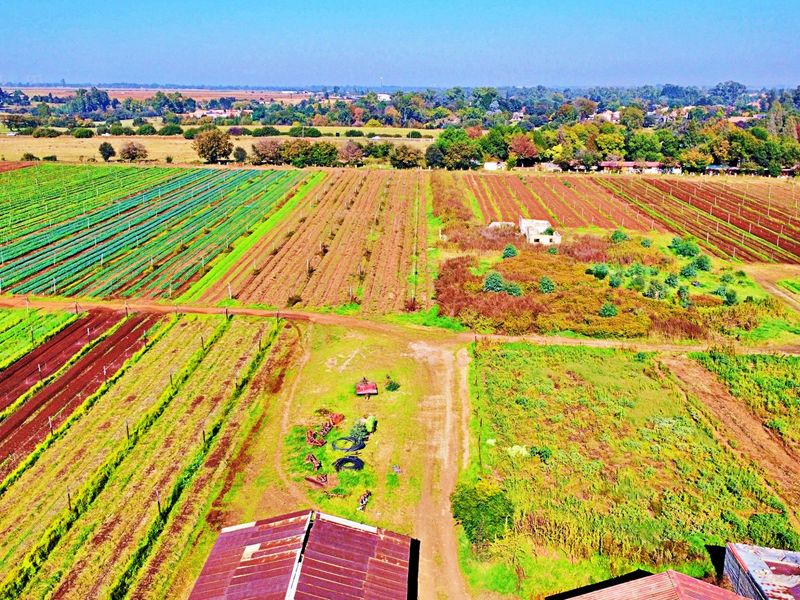 LARGE FARM FOR SALE IN MEYERTON - Photo 3