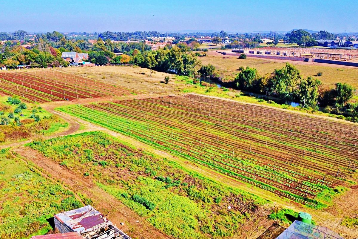 LARGE FARM FOR SALE IN MEYERTON - Photo 4