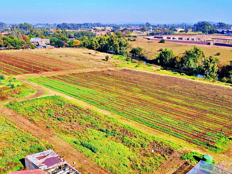 LARGE FARM FOR SALE IN MEYERTON - Photo 4