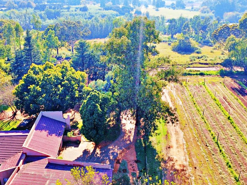 LARGE FARM FOR SALE IN MEYERTON - Photo 10