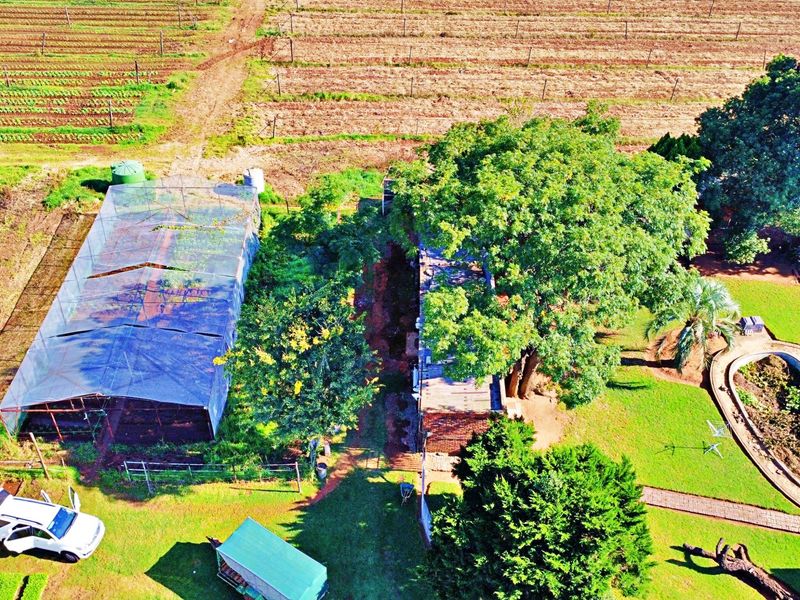 LARGE FARM FOR SALE IN MEYERTON - Photo 8