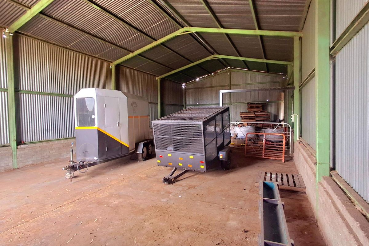 Prime 2.2 ha Smallholding – 3-Phase Electricity & Great Improvement Potential - Photo 3